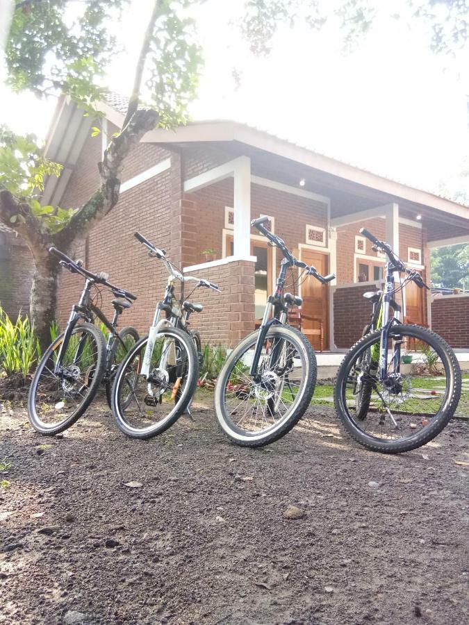 Genthong Homestay Magelang Ngoại thất bức ảnh